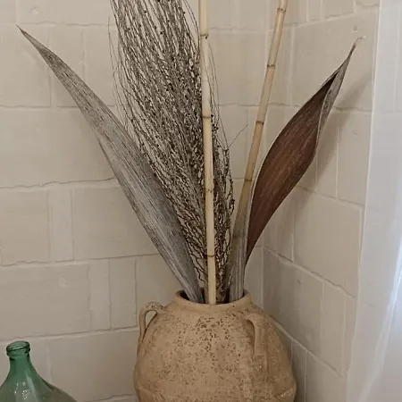 La Pigna Blu Casavacanza Con Piscina